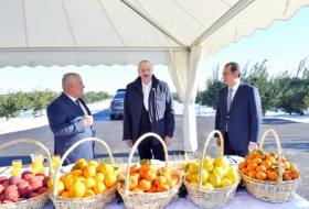  President Ilham Aliyev makes trip to Lankaran district 