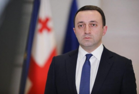   Georgian PM Irakli Garibashvili announces his resignation  