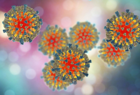 “Alarming” rise of measles cases in Europe - WHO 
