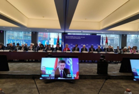 Azerbaijan is perfect location for advancing COP29 negotiations, says Lead Negotiator Yalchin Rafiyev