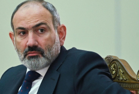 Armenia suspends participation in CSTO - Armenian PM
