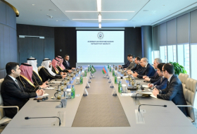 Azerbaijan, Saudi Arabia discuss tourism cooperation