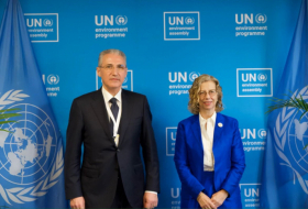 Azerbaijan, UN discuss cooperation on climate change issues