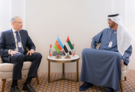 Azerbaijan, UAE ministers mull collaboration on road to COP29