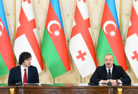  President Ilham Aliyev and Prime Minister Irakli Kobakhidze made press statements  