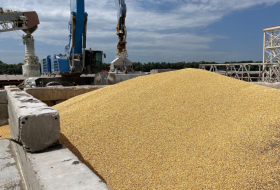  How much grain is Ukraine exporting and how is it leaving the country? -  iWONDER  