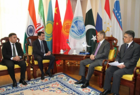   Azerbaijan, Shanghai Cooperation Organization mull cooperation prospects  