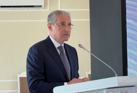   COP29 seeks private sector funding to combat climate change - Azerbaijan's minister   