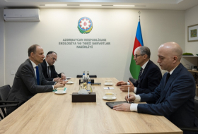   Azerbaijan, Switzerland discuss COP29 preparations  