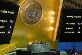 UN adopts resolution on measures against Islamaphobia