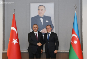 Azerbaijani FM meets head of Turkish Parliament's Delegation to NATO PA