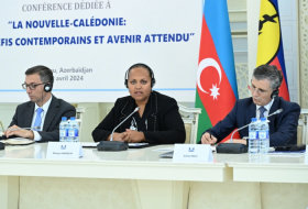 France explores colonial policy through legislative changes - New Caledonian chairwoman