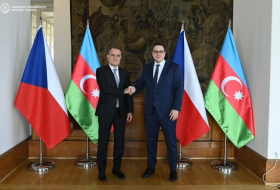   Azerbaijani, Czech FMs hold meeting in Prague  