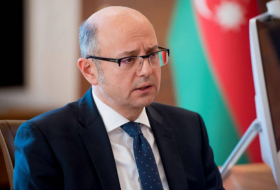 Azerbaijan’s energy minister to attend energy forum in Vienna