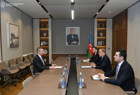 Azerbaijan, Ukraine hail strategic partnership relations