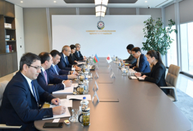 Azerbaijan, Japan explore prospects for economic ties 