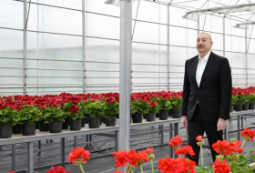 Azerbaijani President examines construction progress of Ecological Park Complex in Ganja city