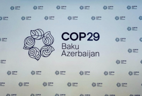   Azerbaijan unveils COP29 logo  