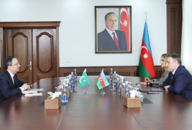  Azerbaijan, Pakistan mull cooperation in defense industry 