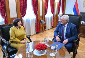 Azerbaijan, Montenegro discuss interparliamentary cooperation