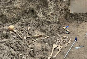 Mines put by Armenians prevent searches at burial sites - Azerbaijani state commission