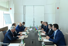 Azerbaijani FM meets with his Algerian counterpart