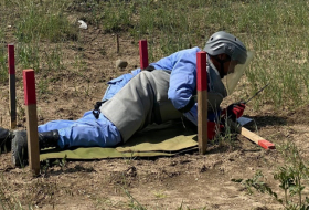   Azerbaijan defuses more than 330 landmines in its liberated territories in April  
