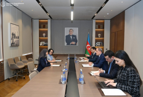 Azerbaijani FM briefs ASEAN IPA's SecGen on preparations for COP29