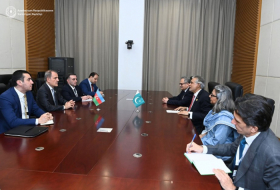Azerbaijani FM holds meeting with Pakistani counterpart