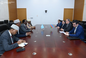 Azerbaijani FM discusses bilateral ties with Deputy Prime Minister of Somalia