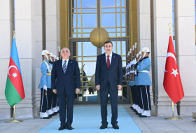   Azerbaijani PM meets with Türkiye's Vice President   