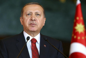 Turkish president ratifies immunity bill