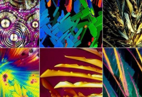Incredible PHOTOS of alcoholic beverages under a microscope