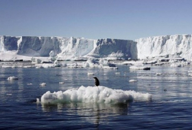 Sea ice near Antarctica hits record low