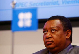 OPEC sees 'healthy' oil demand growth to 2022