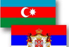 Azerbaijani, Serbian FMs hold meeting in Baku