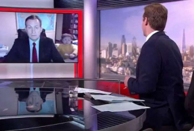 Brilliant moment a BBC expert's live interview is gatecrashed -VIDEO