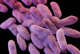 Dreaded superbug found for the first time in a U.S. woman