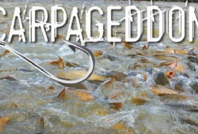 Carpageddon: Australia plans to kill carp with herpes
