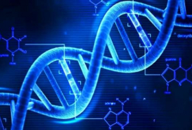It's possible for person to have two different sets of DNA - Here's how it happens
