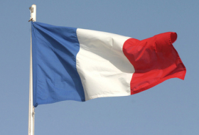 France calls for force 
