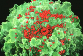 Lung cancer drug may be early clue in the hunt for an HIV cure