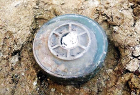 Landmine kills five children in northeast Libya