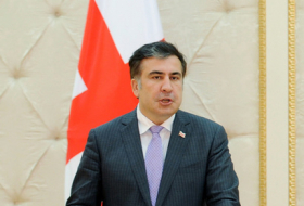 Saakashvili considers the government`s decision 