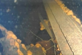Fukushima disaster: Robot finds possible melted nuclear fuel