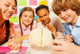 Teenage brains 'not wired for high stakes'