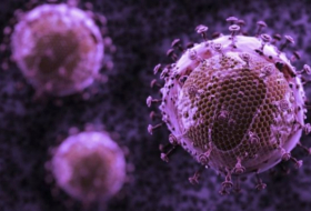 New antibody attacks 99% of HIV strains
