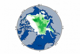 Arctic turns green as sea ice melts to record low levels