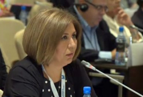   OSCE doesn't pay due attention to problems of IDPs, refugees, says Azerbaijani MP  