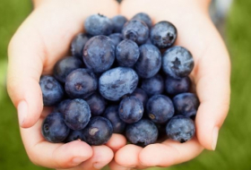 Blueberry extracts can make cervical cancer treatment effective